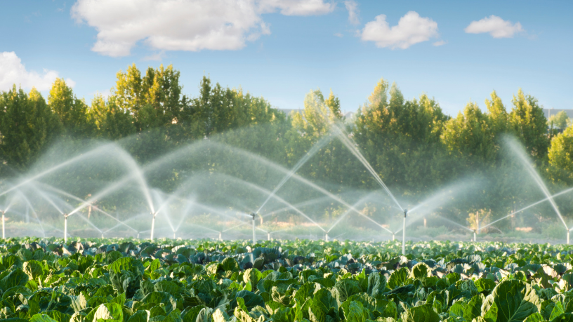 Lavouras do Futuro: Com Aldo, descubra a tecnologia da irrigação inteligente no campo.