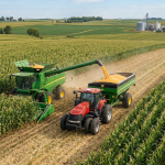 Alfredo Moreira Filho