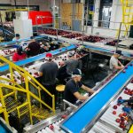 Trabalhadores organizam maçãs em esteiras de uma fábrica de processamento de alimentos.